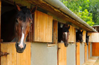 free Abbas Combe stable construction quotes